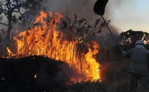 Oito concelhos de Faro e Santarém em risco máximo de incêndio