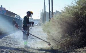 MUNICÍPIO DE FARO LANÇA OPERAÇÃO INTEGRADA #CUIDARFARO PARA REQUALIFIÇÃO DO ESPAÇO PÚBLICO  