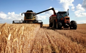 Governo quer maior prevenção de acidentes com maquinaria agrícola. Medidas até ao final de julho