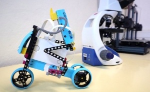 Município de Portimão apoia as escolas com protocolos de mais de 6 milhões de euros