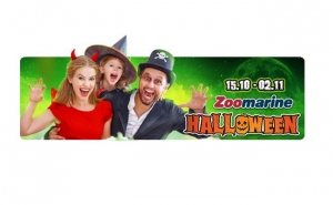 Já somos 4000 – para 42000