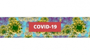 Covid-19: Doentes vão passar a ser sobretudo seguidos em casa - DGS