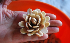 CÂMARA DE LOULÉ E PARCEIROS LOCAIS PROPORCIONAM EXPERIÊNCIAS CRIATIVAS A TURISTAS