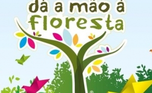 Iniciativa de Escola Nacional de Bombeiros e Portucel para proteger floresta vai a Monchique