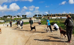 UAlg realiza 3.ª Cãominhada em parceria com o canil de Olhão