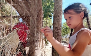 Crianças e jovens dos bairros camarários de Portimão têm umas férias de verão em cheio