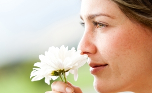 Calendário de maio: o mês da mãe e das flores