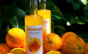 Cascas de laranja algarvia são base de licor inspirado no limocello italiano