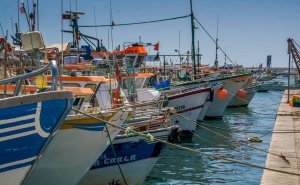 Pescadores de Olhão e Quarteira preocupados com falta de condições nos portos