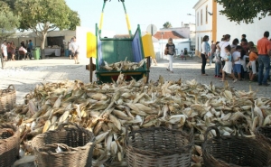 «A nossa cultura sai à rua» volta a trazer um programa de animação rico em artes, saberes e sabores para toda a família