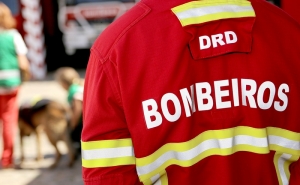 ADAPO disponibiliza material de recolha e tratamento de animais aos Bombeiros