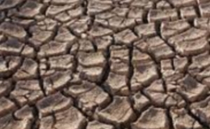 Seca: Agricultores da Vigia no Alentejo com «ano mais grave» de sempre 