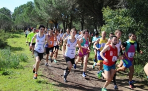 XIX Circuito Cidade de Lagos em Atletismo já está a pontuar