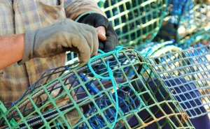 «Polvo e as artes de pesca em Santa Luzia»