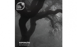 Exposição de Fotografia | «Light of the senses» 