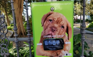 AUTARQUIA DE LOULÉ APOSTA EM SACOS BIODEGRADÁVEIS PARA DEJETOS CANINOS 