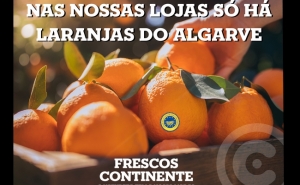 CONTINENTE PREVÊ ADQUIRIR 10 000 TONELADAS DE LARANJA DO ALGARVE