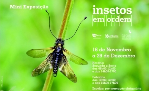 «Insetos em Ordem» no aniversário do Parque | Natural do Vale do Guadiana