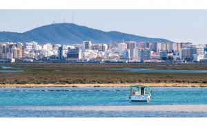 Ria Formosa entre os melhores destinos da Europa para observar aves