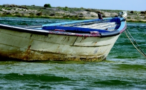 Tavira distingue pescadores