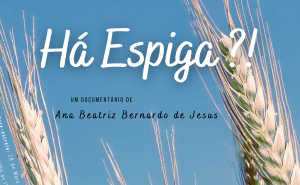  HÁ ESPIGA?! 
