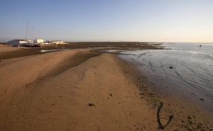 Ambiente investiga construção de muro ilegal com 30 metros na ilha da Culatra