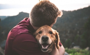 Para 55% dos portugueses, viajar com os animais de estimação é importante