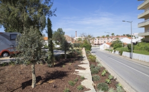 Câmara Municipal de Lagoa investiu 60 mil euros num jardim na Mexilhoeira da Carregação, que vai permitir a prática da Petanca