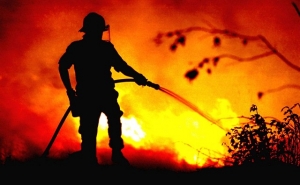 Incêndios: 121 homens combatem fogo em zona de mato em Silves