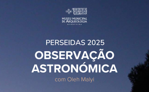 OBSERVAÇÃO ASTRONÓMICA DAS PERSEIDAS REGRESSA AO CASTELO DE PADERNE