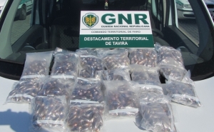 Detido na posse de 19 200 doses de haxixe