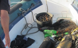 Polícia Marítima apreende 50kg de lingueirão no interior da Ria Formosa