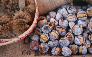 10 dias de animação para todos os gostos na Feira de S. Martinho