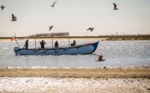 Algarve regista crescimento de 11,9% de proveitos turísticos em março