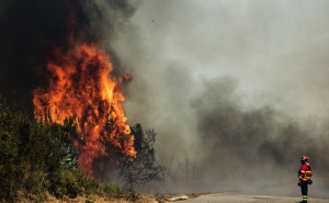 Dominado um dos fogos que lavrava em Loulé, outro ainda ativo