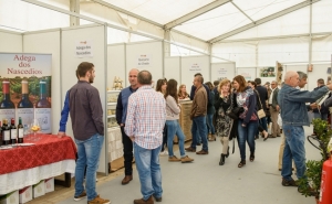 FESTAS DE MAIO EM AMOREIRAS-GARE COM MUITA MÚSICA, TRADIÇÃO E ANIMAÇÃO