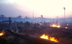 Incêndio em Monchique dado como dominado às 07:15