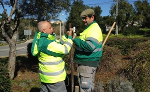 São Brás de Alportel reduz consumo de água