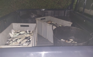 Polícia Marítima apreende 117kg de polvo em Tavira