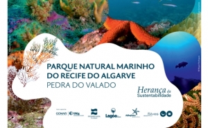 LAGOA CONGRATULA-SE COM CRIAÇÃO DO PARQUE NATURAL MARINHO DO RECIFE DO ALGARVE – PEDRA DO VALADO