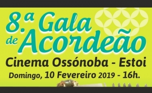 8ª Gala de Acordeão