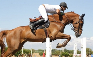 Vilamoura | Spa de água salgada alivia esforço de cavalos em concurso