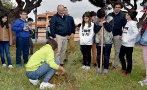CÂMARA DE LOULÉ VAI PLANTAR MIL ÁRVORES ATÉ AO FINAL DO ANO