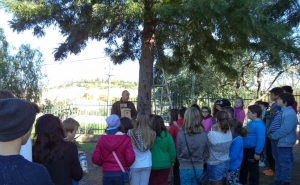 Município de Albufeira envolve Comunidade Escolar no Projeto Chapim