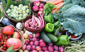Covid-19: Associações e agricultores algarvios pedem apoios à pequena produção