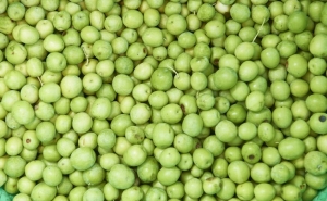 Aproveite os feriados e descubra os encantos do Algarve campestre