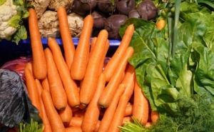 PORTUGAL ABRE NOVOS MERCADOS PARA A EXPORTAÇÃO DE PRODUTOS AGRÍCOLAS