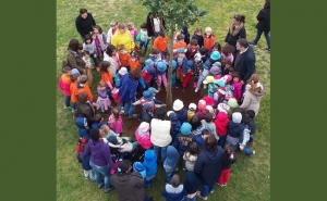 Monchique Homenageia maior Magnólia da Europa no Dia da Árvore
