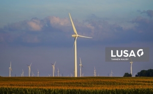 Crescimento das renováveis abranda em 2020 e solar e eólica têm aumento recorde