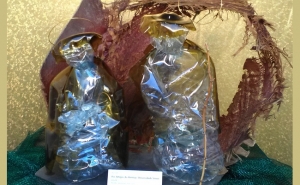 VENCEDORES DO IV CONCURSO DE PRESÉPIOS DO CONCELHO DE LOULÉ JÁ SÃO CONHECIDOS